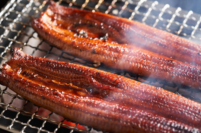 うなぎやの歴史と特徴について詳しく解説しま?