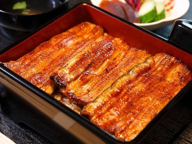 うなぎ菊水の歴史と特徴について詳しく解説